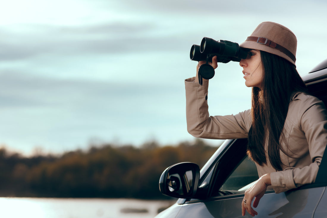 Women Sleuths in Literature