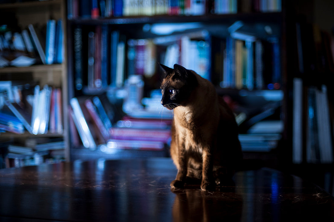 What Are Mystery Books?