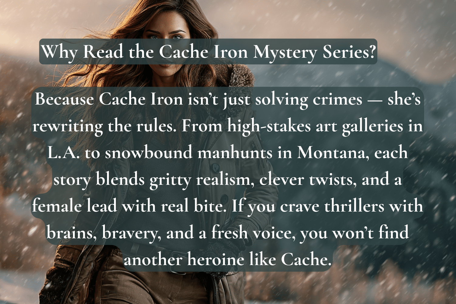 Why Read the Cache Iron Mystery Series